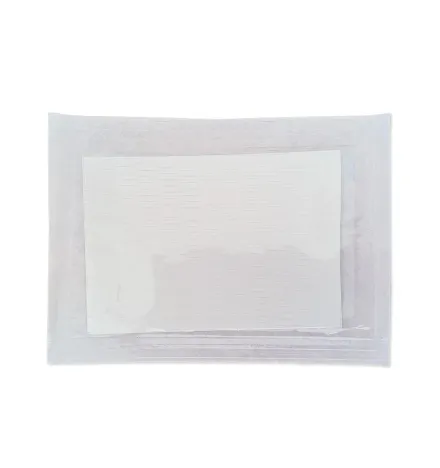 Mykutis® Scaffold Medicato Interattivo Busta da 1 supporto reticolare | RI.MOS. CARE